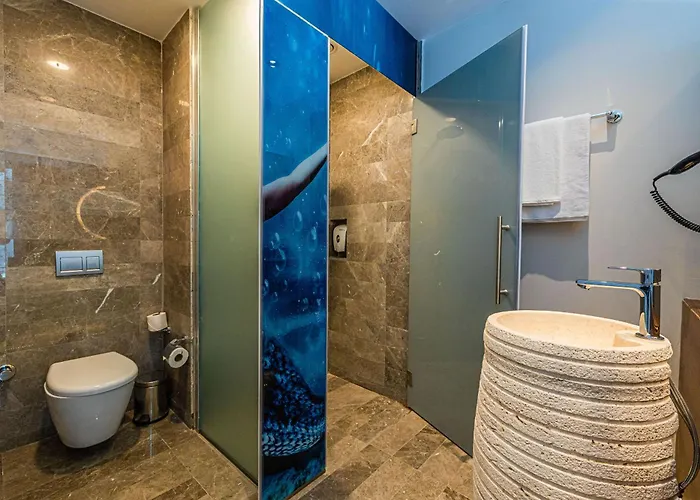 Goezegir ボドルム